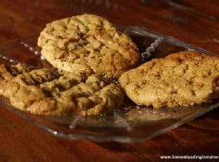 Flour-Less Peanut Butter Cookies