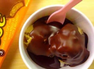 Vegan Peanut Butter Ice Cream