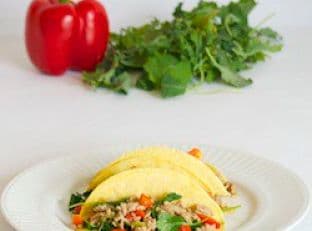 Turkey Kale Tacos